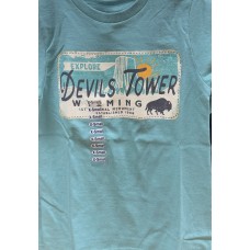 Devils Tower License Plate